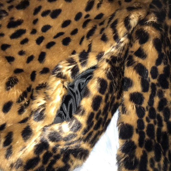 Jacket - Picture 2 of 4